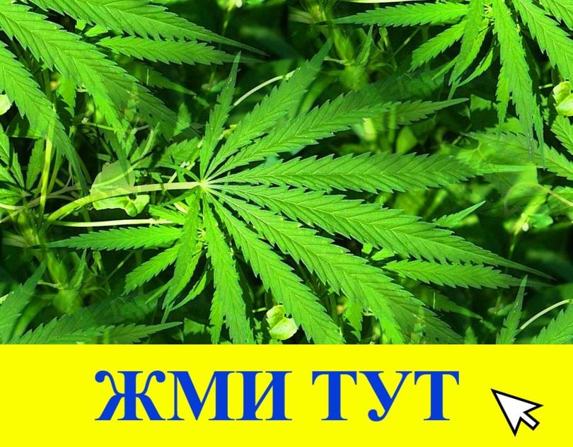 Купить наркотики в Владикавказе